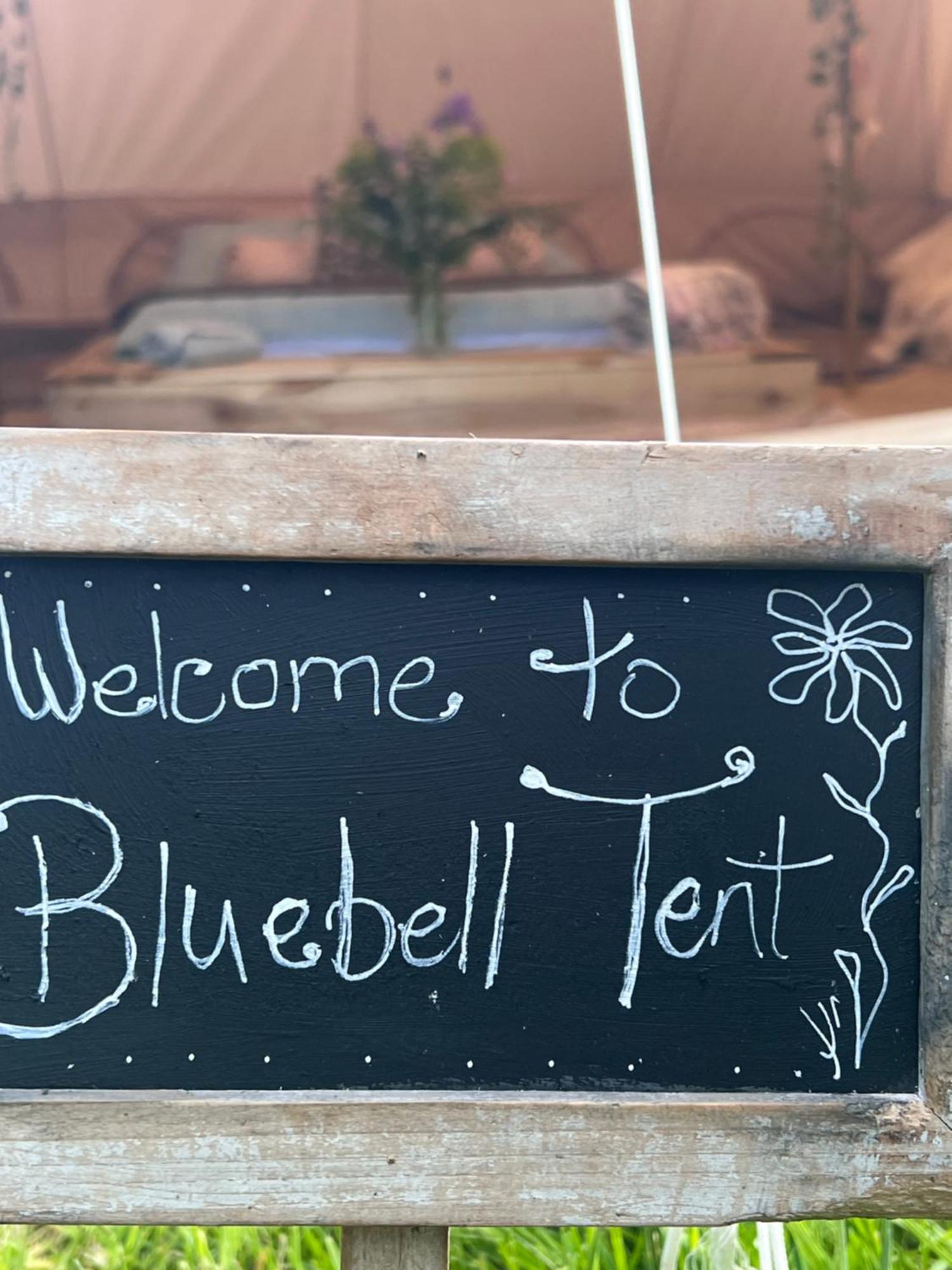 Bluebell Tent At Ballyward Croft Ardkeen Экстерьер фото