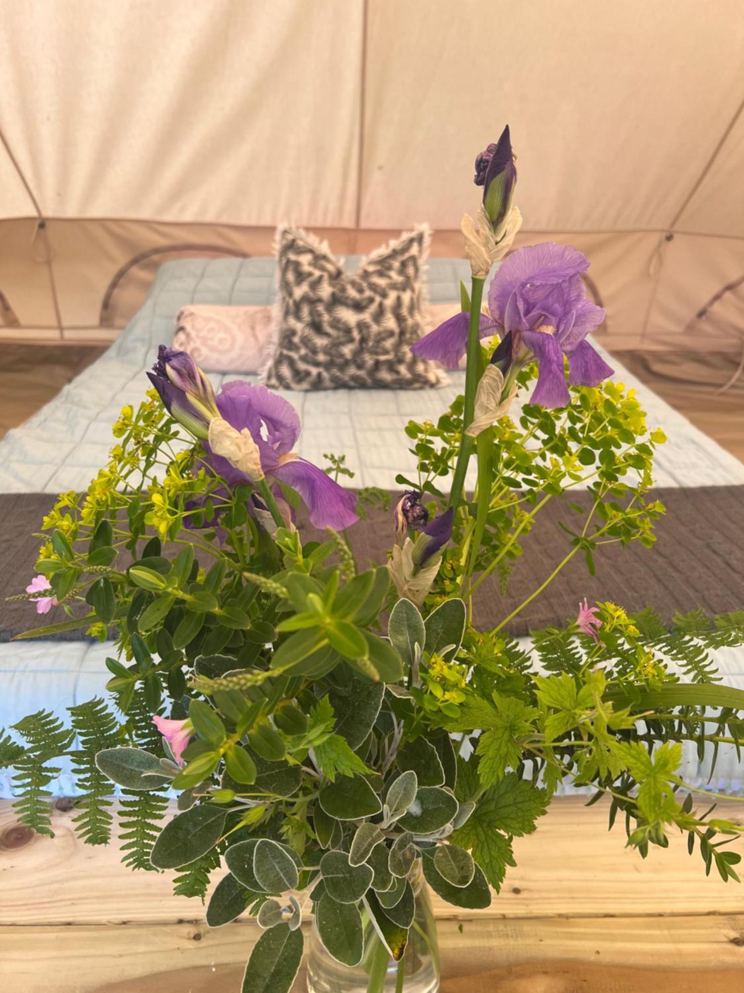 Bluebell Tent At Ballyward Croft Ardkeen Экстерьер фото